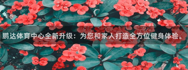 意昂4科技：鹏达体育中心全新升级：为您和家人打造全方