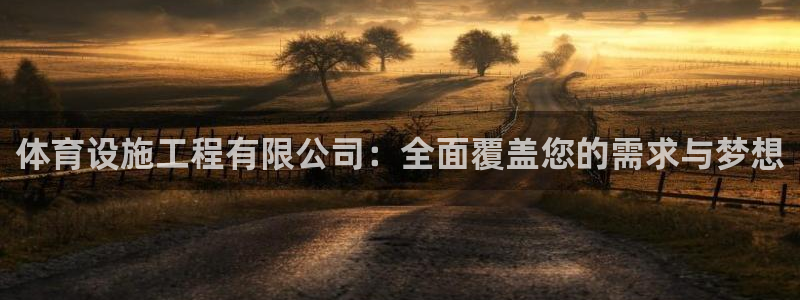 意昂4新能源：体育设施工程有限公司：全面覆盖您的需求