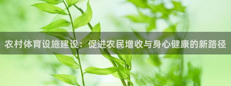 意昂体育4平台注册：农村体育设施建设：促进农民增收与