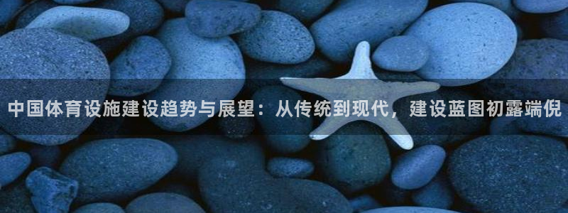意昂体育4开户：中国体育设施建设趋势与展望：从传统到