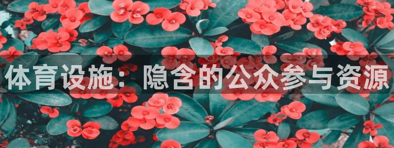 意昂平台体育：体育设施：隐含的公众参与资源