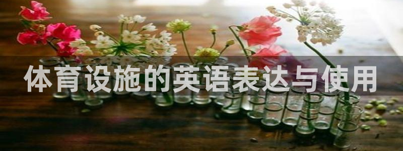 意昂体育4招商电话：体育设施的英语表达与使用