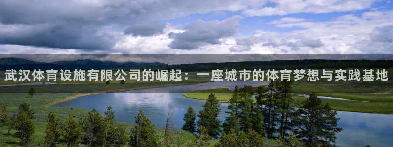 意昂4娱乐网站：武汉体育设施有限公司的崛起：一座城市