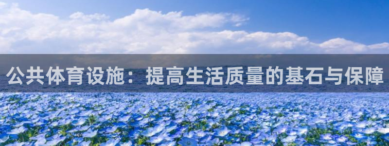 意昂体育4注册：公共体育设施：提高生活质量的基石与保