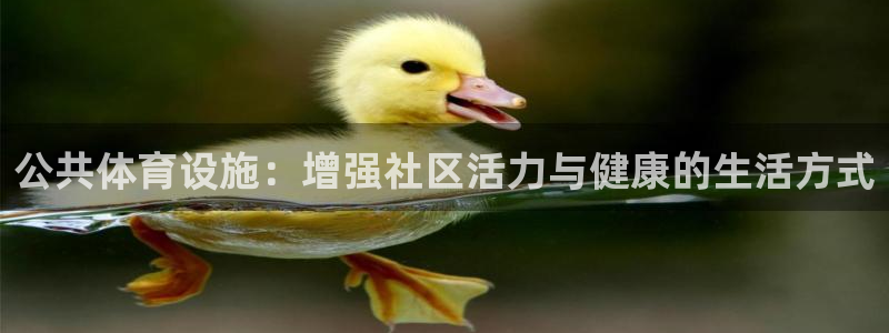意昂4娱乐：公共体育设施：增强社区活力与健康的生活方