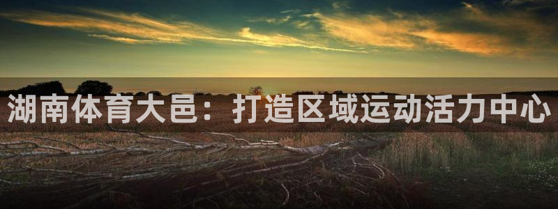 意昂4集团简介：湖南体育大邑：打造区域运动活力中心