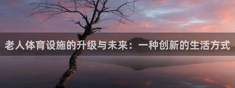 意昂体育4开户：老人体育设施的升级与未来：一种创新的