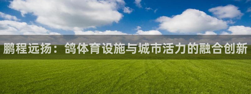 意昂体育4招商电话号码：鹏程远扬：鸽体育设施与城市活