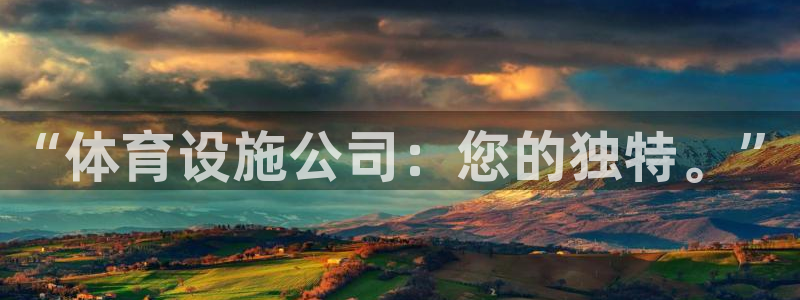 意昂体育4平台注册流程视频：“体育设施公司：您的独特