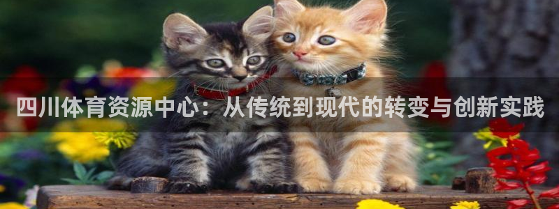 意昂4开户：四川体育资源中心：从传统到现代的转变与创