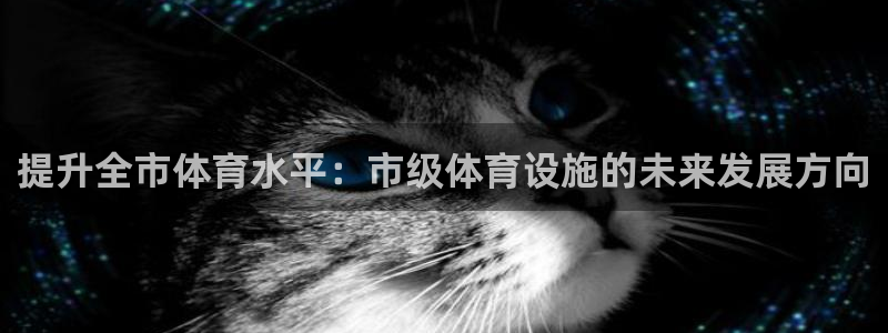 意昂4集团官网首页：提升全市体育水平：市级体育设施的
