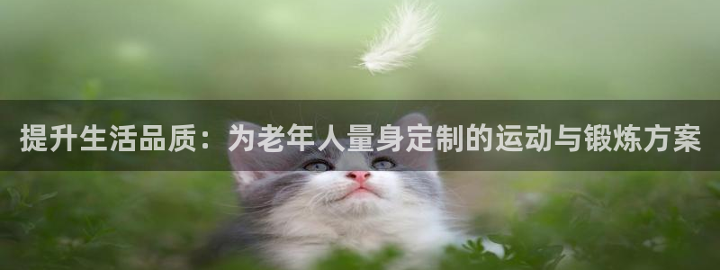 意昂体育4平台注册流程图：提升生活品质：为老年人量身