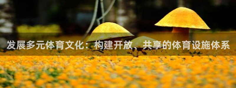 意昂体育4平台：发展多元体育文化：构建开放、共享的体