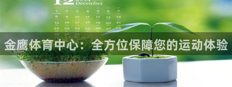 意昂4集团E.ON：金鹰体育中心：全方位保障您的运动