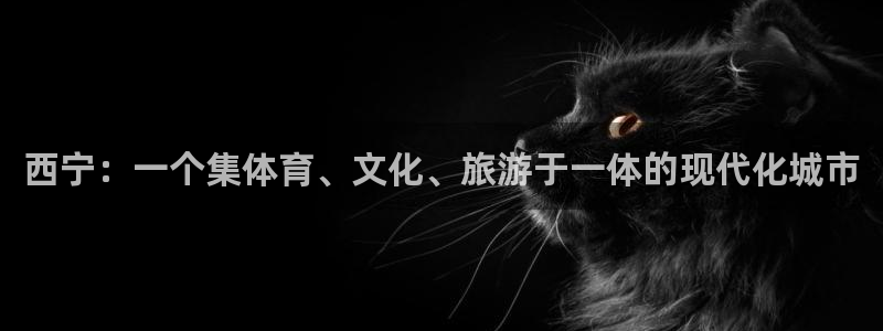 意昂4官方：西宁：一个集体育、文化、旅游于一体的现代