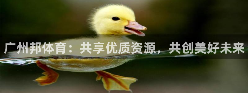 意昂4娱乐是那个系列的台子：广州邦体育：共享优质资源