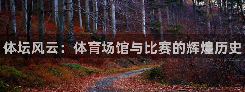 意昂4官网：体坛风云：体育场馆与比赛的辉煌历史
