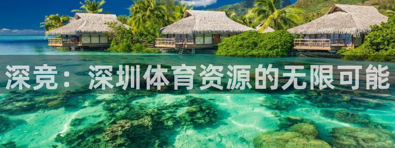 意昂体育4软件：深竞：深圳体育资源的无限可能