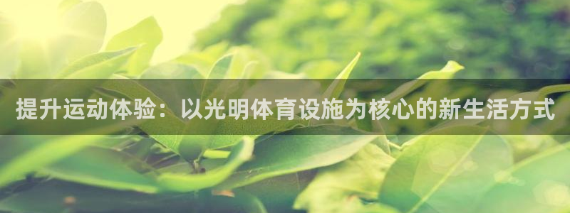 意昂体育4平台注册要钱吗安全吗：提升运动体验：以光明体育设施