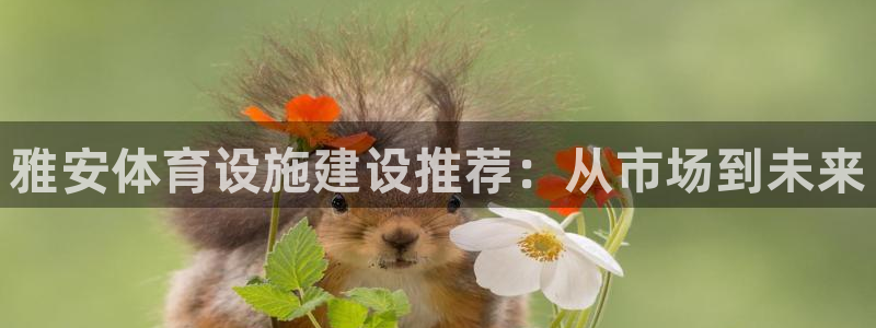 意昂体育4招商电话地址是多少：雅安体育设施建设推荐：