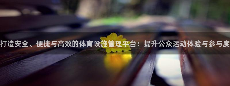 意昂集团官网：打造安全、便捷与高效的体育设施管理平台：提升公