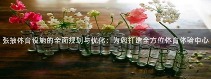 意昂体育4招商电话号码查询：张掖体育设施的全面规划与