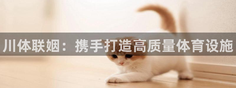 意昂体育4招商电话是多少啊：川体联姻：携手打造高质量