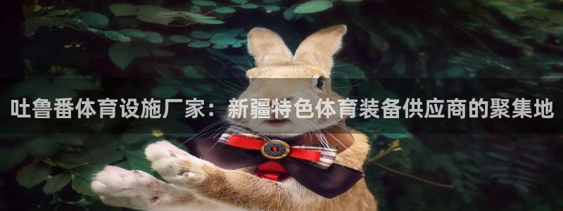 意昂4集团简介：吐鲁番体育设施厂家：新疆特色体育装备