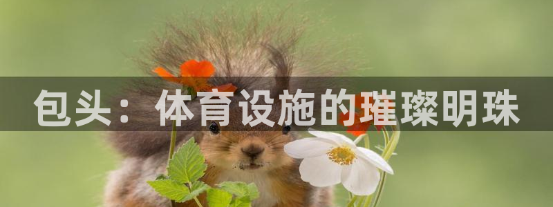 意昂平台体育：包头：体育设施的璀璨明珠
