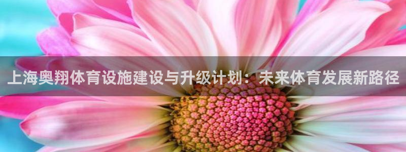 意昂体育4招商电话是多少号码：上海奥翔体育设施建设与
