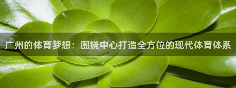 意昂4集团官网首页：广州的体育梦想：围绕中心打造全方