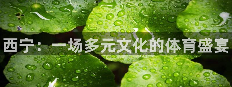 意昂体育4平台是正规平台吗安全吗：西宁：一场多元文化