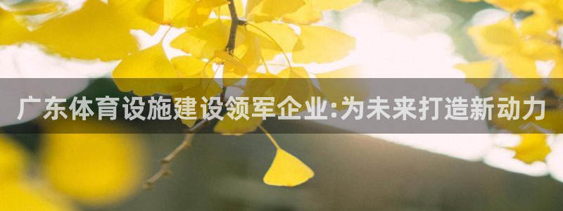 意昂体育4招商：广东体育设施建设领军企业:为未来打造