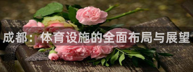 意昂体育4平台假的吗是真的吗：成都：体育设施的全面布