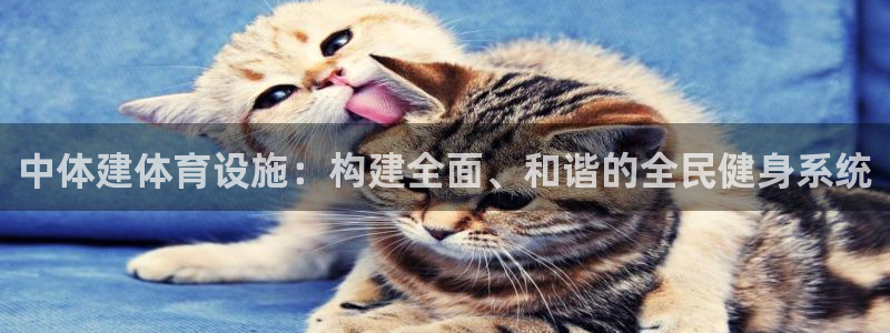 意昂体育4平台假的吗是真的吗吗：中体建体育设施：构建