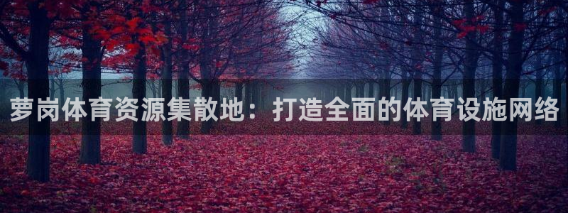 意昂4科技：萝岗体育资源集散地：打造全面的体育设施网