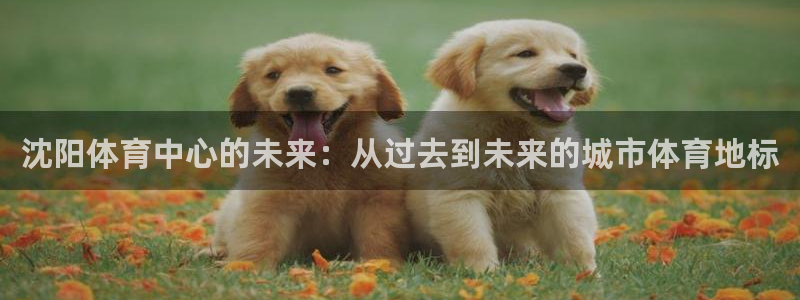 意昂4集团：沈阳体育中心的未来：从过去到未来的城市体
