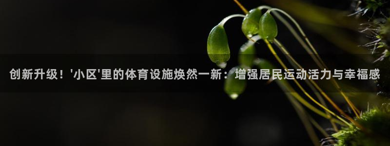 意昂4集团：创新升级！\'小区\'里的体育设施焕然一