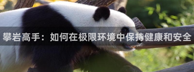 意昂4开户：攀岩高手：如何在极限环境中保持健康和安全