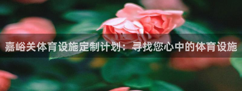 意昂体育4平台假的吗是真的吗：嘉峪关体育设施定制计划