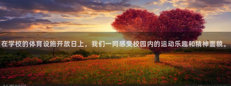 意昂体育4平台注册要钱吗：在学校的体育设施开放日上，