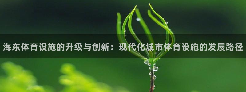 意昂体育4平台注册流程图：海东体育设施的升级与创新：