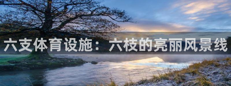 意昂4五金厂：六支体育设施：六枝的亮丽风景线