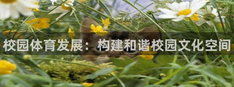 意昂4娱乐40996：校园体育发展：构建和谐校园文化