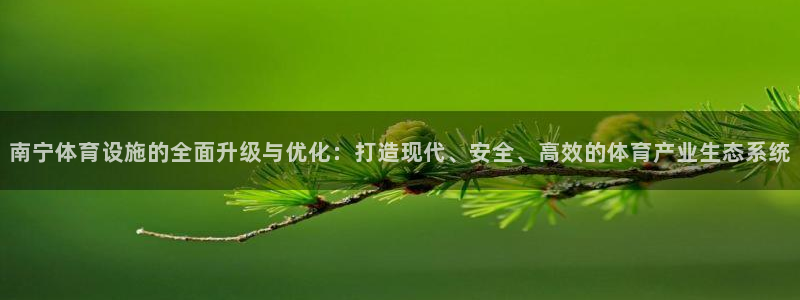意昂体育4招商：南宁体育设施的全面升级与优化：打造现