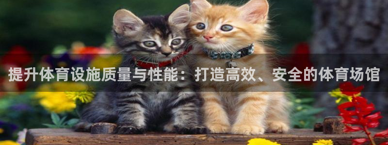 意昂体育4软件
