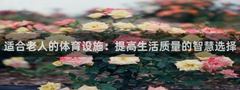 意昂4集团官网首页：适合老人的体育设施：提高生活质量