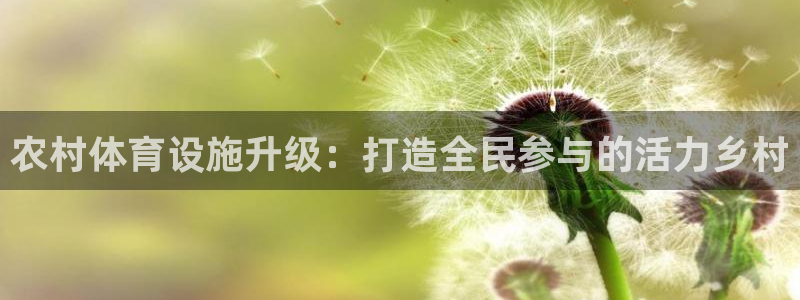 意昂平台体育：农村体育设施升级：打造全民参与的活力乡村