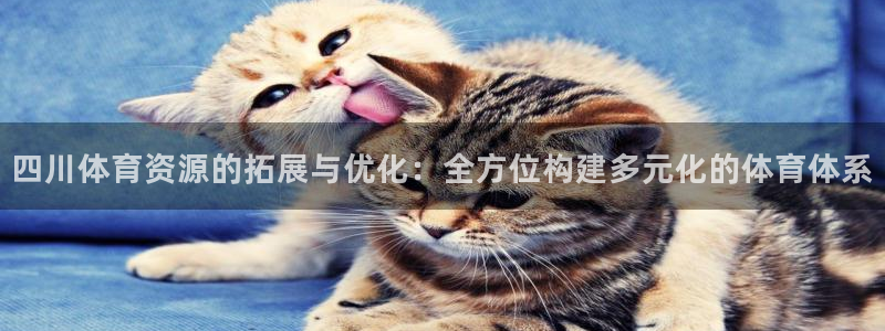 意昂体育4招商电话是多少啊：四川体育资源的拓展与优化