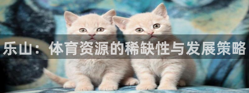 意昂体育4招商：乐山：体育资源的稀缺性与发展策略